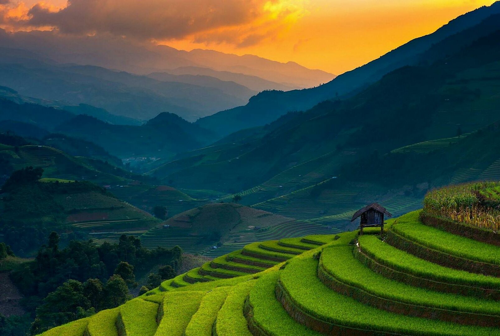 Rizières en terrasses de Banaue, symbole de croissance, collaboration et harmonie entre nature et humain