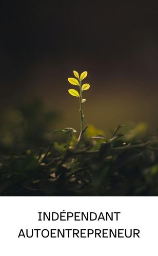 Jeune pousse verte pleine de promesse, symbole de l’autoentrepreneur qui démarre son activité.