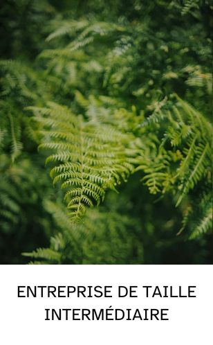 Fougère luxuriante en pleine croissance, symbole d’une ETI en expansion rapide.