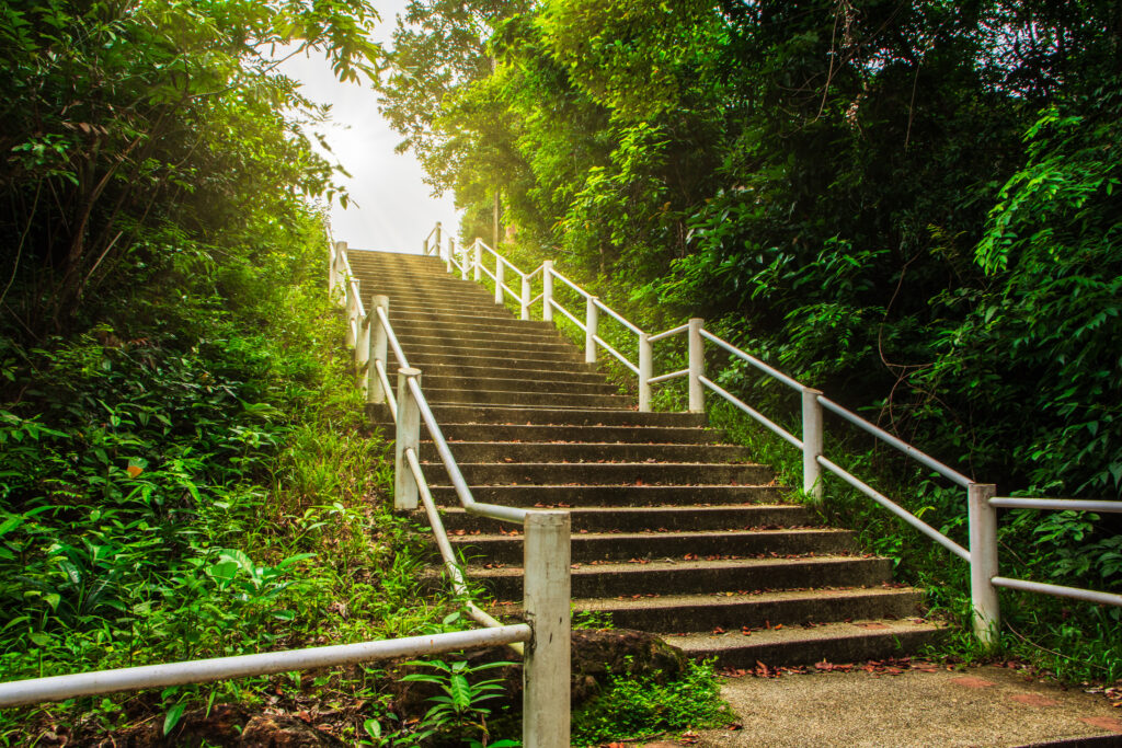 Un large escalier confortable et sécurisant en pleine nature, montant vers une lumière chaude et accueillante, symbolisant la progression et les résultats concrets du pack RSE "Faites la différence".