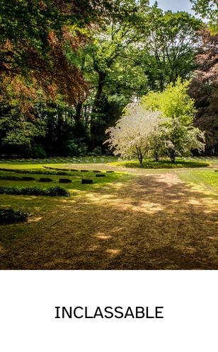 Jardin harmonieux avec arbre solide, herbes folles et allée naturelle lumineuse.