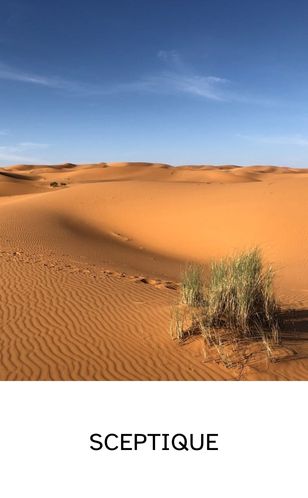 Petit arbuste isolé dans un désert sec, symbolisant le dirigeant sceptique face à la RSE.